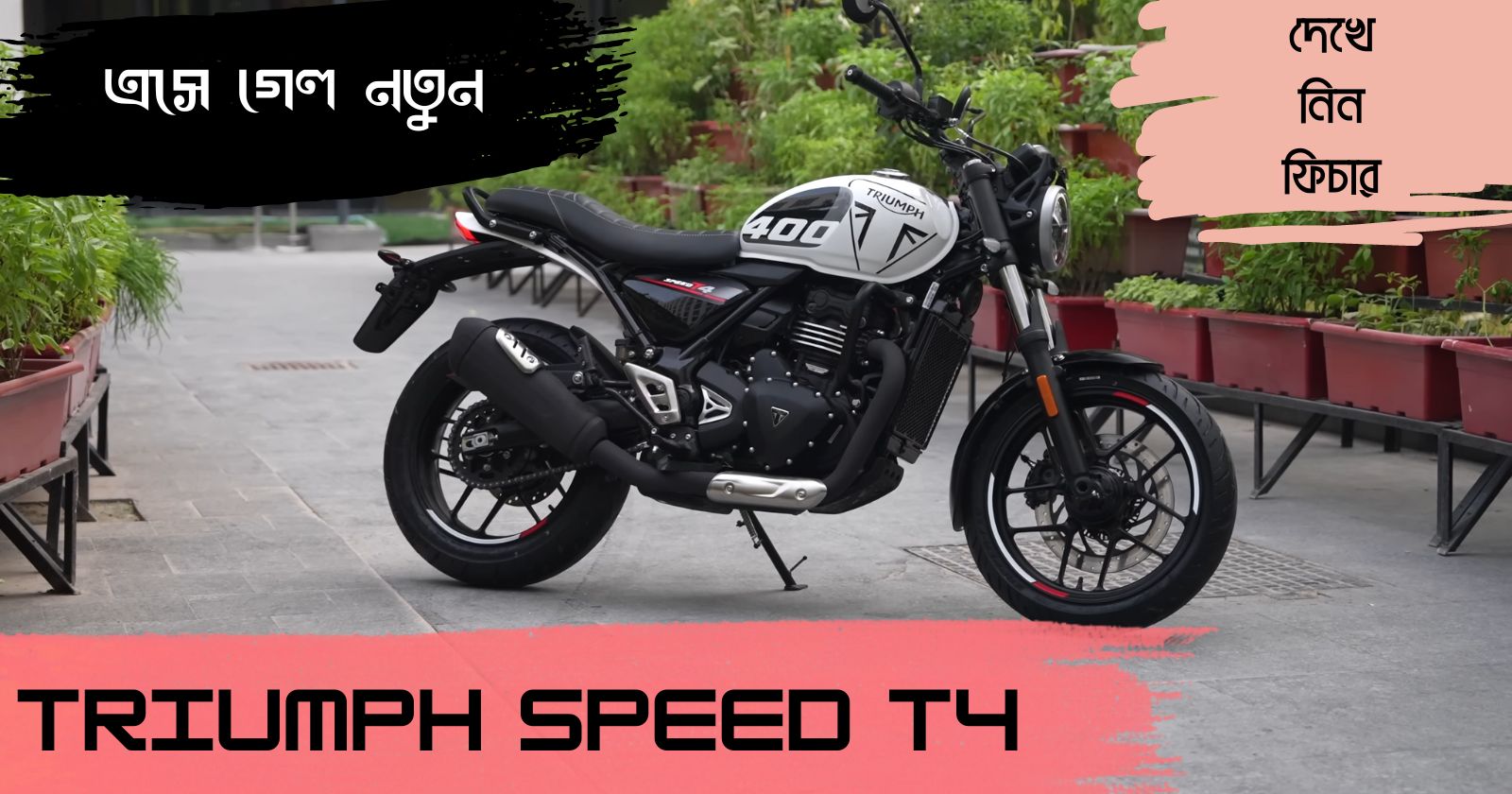 Triumph Speed ​​T4